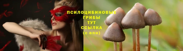 хмурый Покачи