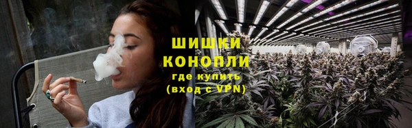 хмурый Покачи
