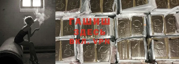 хмурый Покачи