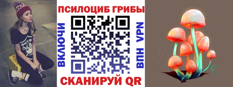 Купить закладки  Салават  Псилоцибиновые грибы мухоморы 